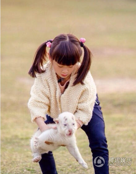 “女汉子”森碟抱肥猫