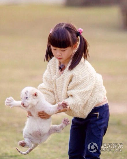 “女汉子”森碟抱肥猫