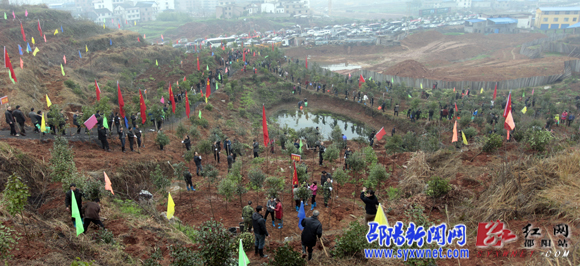 邵阳市市长龚文密参加义务植树活动 要求确保