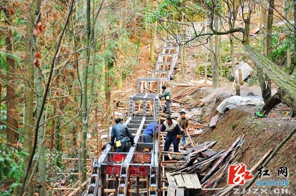 张家界龙凤庵景点现“马帮”  给力森林游道提质建设