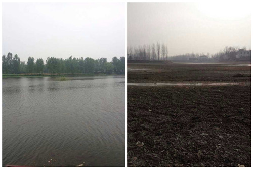 网友上传图片，举报填河建房