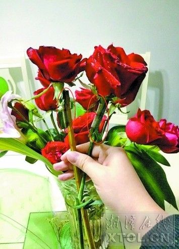 QQ图片20140317075550