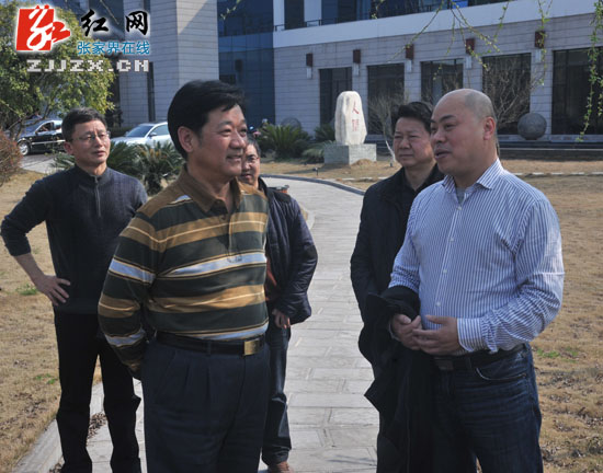 【双联双解六攻坚】朱国军调研盛美达（张家界）度假酒店项目建设