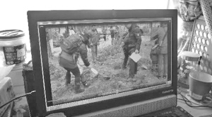 园方保存的栽竹子活动视频资料。