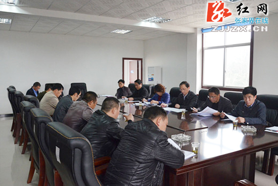 吴名凤调研慈利县岩泊渡镇全面建成小康社会工作情况