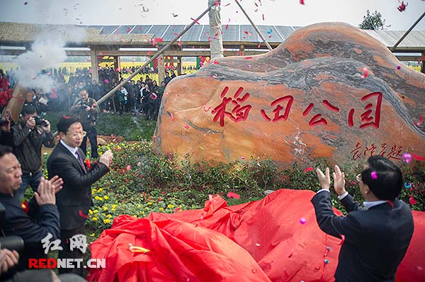 郴州市委书记向力力（右一）、安仁县委书记谢春（右二）等为稻田公园的开园揭幕。