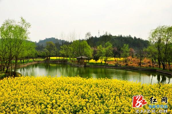 武陵源田园“乡愁”美景宛如仙境(组图)