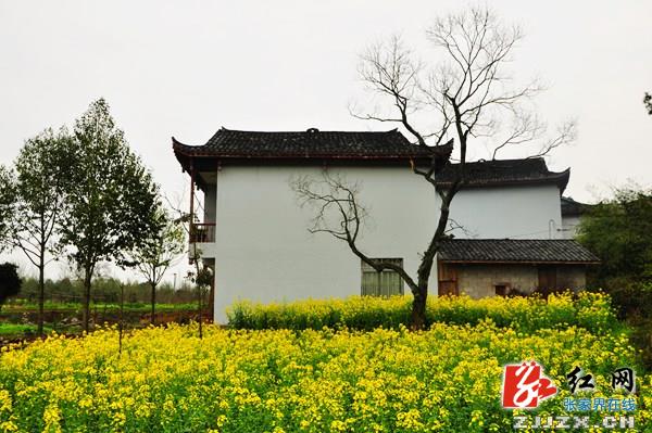 武陵源田园“乡愁”美景宛如仙境(组图)