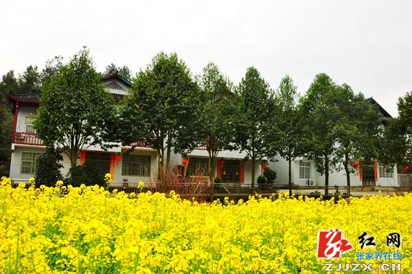 武陵源田园“乡愁”美景宛如仙境(组图)