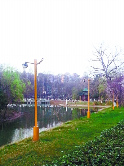 太阳能灯电池板不翼而飞。