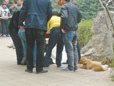 河南17岁女孩上吊身亡 宠物狗不吃不喝哀嚎守候