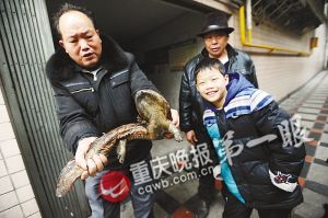 　　■娃娃鱼大概有两三斤重src=