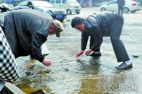 雨水井涌出小鱼，市民马路上捞鱼。
（记者 欧阳天 摄）