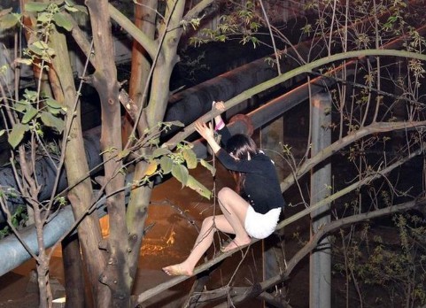 [视频]长发站街女拉客遇警察爬树对峙