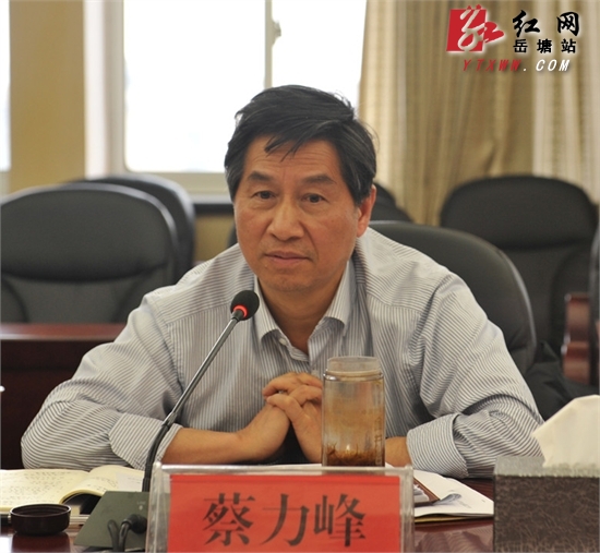 蔡力峰与岳塘区基层工作者交流群众路线工作 给予高度肯定