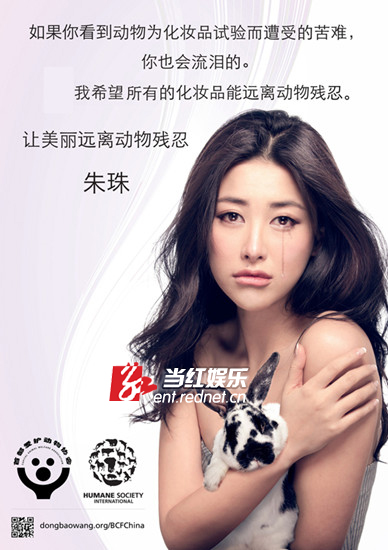 朱珠代言让美丽远离残忍公益活动