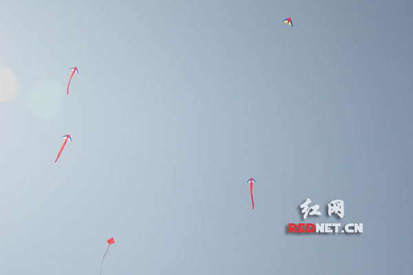 风筝在空中翻飞斗艺。