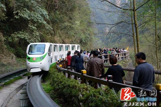 武陵源景区春季生态游受宠 被誉称“空气疗养院”