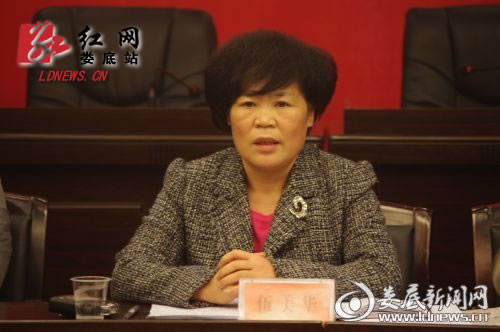 娄底市委常委、宣传部长伍美华与代表交流