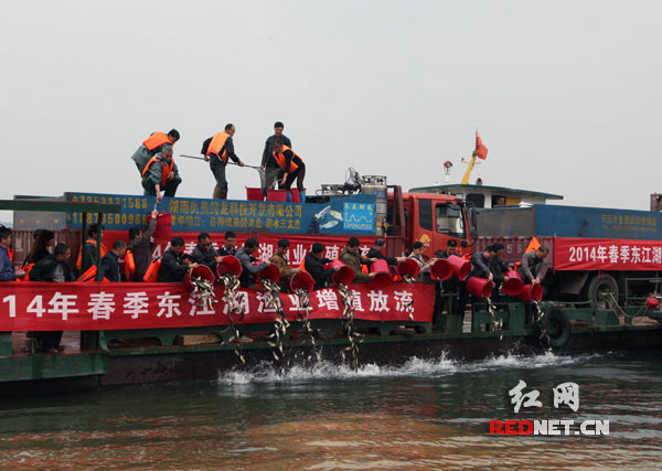 资兴启动2014年增殖放流工作