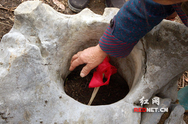 从碗口大的石洞里，有一股轻轻的风往上窜，把手放在洞边，感觉凉凉的。