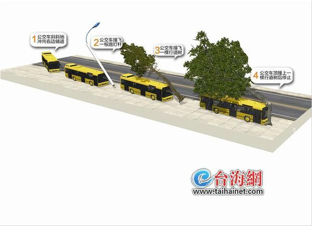 公交司机错将油门当刹车撞断路灯大树致12人伤