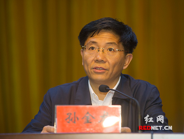 湖南省委副书记孙金龙作总结讲话。