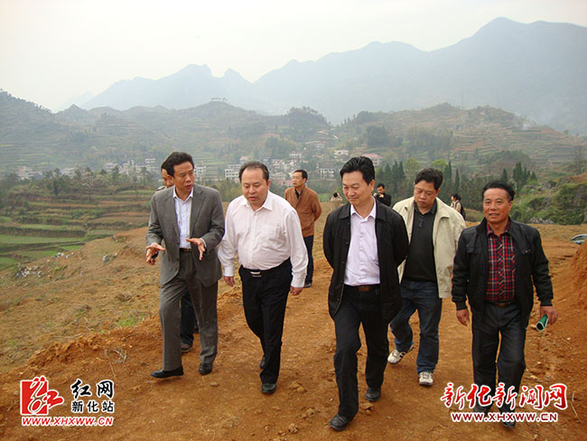 湖南省林业厅退耕还林办公室负责同志一行来新调研退耕还林工作