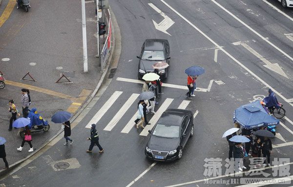 407_072.jpg