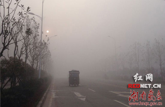 今晨7时许,长沙县暮云镇晨光、雾气、出行的车辆宛若电影画面。摄影:谭萍