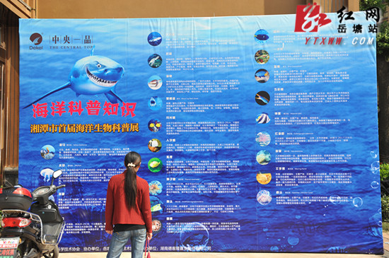 湘潭首届海洋生物科普展将于12日举行 为期9天