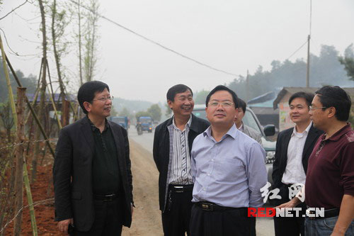 湖南省隆回县县长马健强[左三]在花六公路石门段检查景观带造林