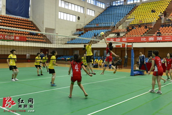 女排比赛的精彩画面