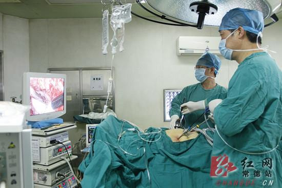 常德市一医院成功开展后腹腔镜下肾肿瘤剜除术