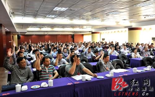 大会采取举手表决的方式通过《补选办法》 陈光辉/摄