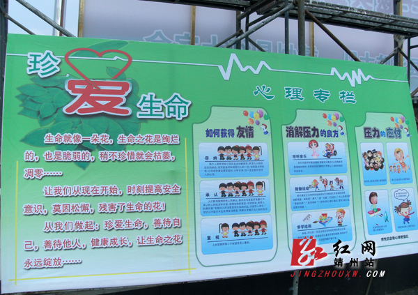 靖州县中小学幼儿园生命教育主题实践活动举行