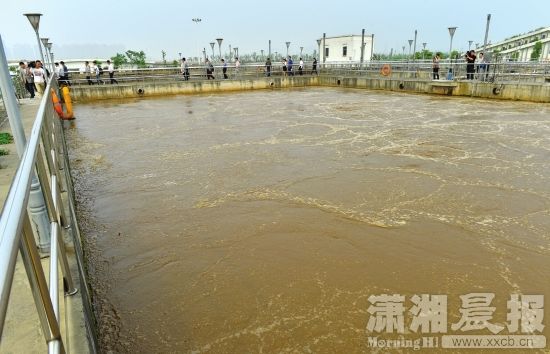 污水直排.jpg