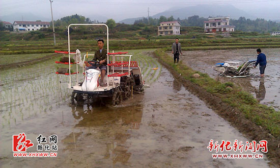 农机技术人员在光华村辅导机械插秧