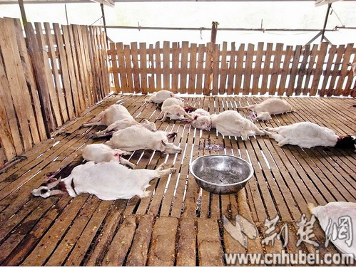 案发现场