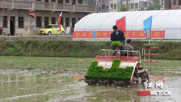 隆回县水田农机服务专业合作社机手在石门乡罗公庙村示范作业