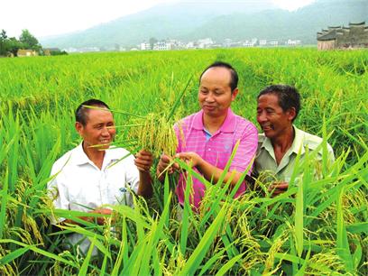 基层农技人才“断层现象”应引起高度重视