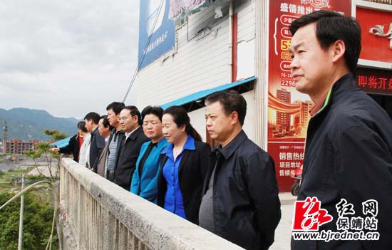 岳阳市党政代表团在州县领导陪同下参观岳阳桥张承印摄