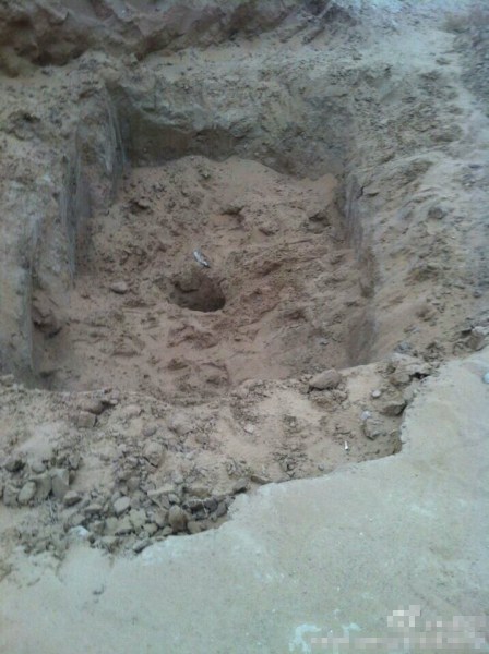 内蒙古阿拉善左旗挖坑活埋流浪狗