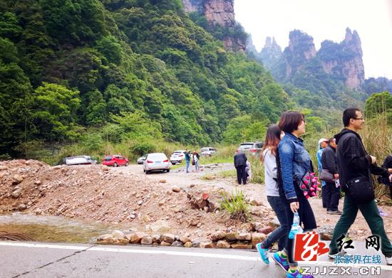 十里画廊乱停放的非环保车有煞风景