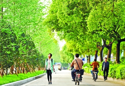 4月27日，长沙市芙蓉中路潘家坪附近，人行道上绿树葱葱，一派春意盎然景象。记者 李健 摄