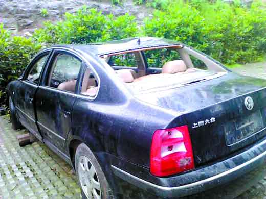 城南家园5组团2号楼附近的僵尸车，车后挡风玻璃下方，长出嫩芽。