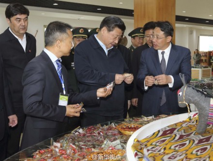 习近平：把新疆好的资源、特色资源开发出来