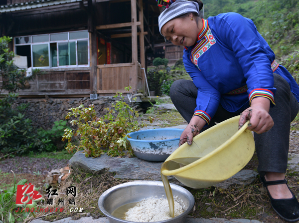 靖州:锹里乌米饭带动苗乡旅游热