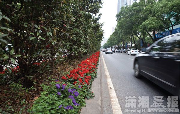 标题-1.jpg