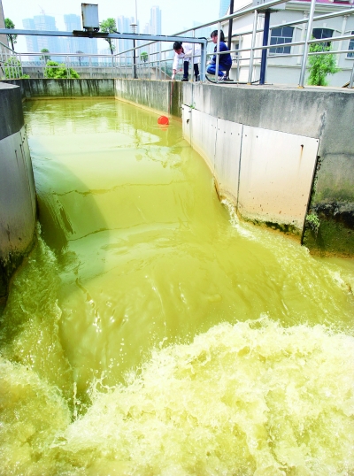 5月7日，长沙市开福污水处理厂的工作人员正在取黄泥水样。记者 刘尚文 摄